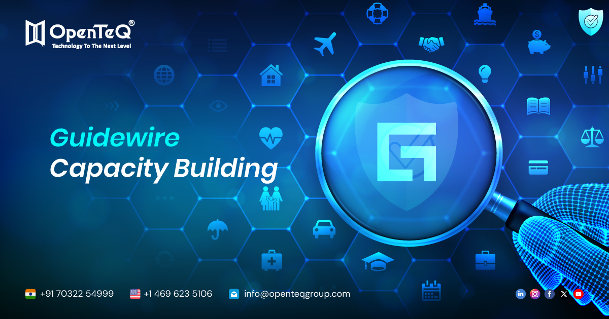 Guidewire Capacity Building